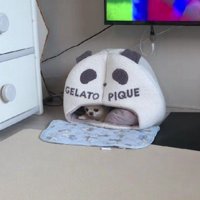 「まだ待ってますけど？」