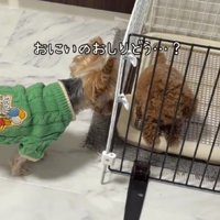 「これからよろしくね」