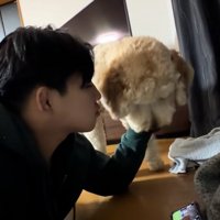 はうるくんを撫でるお兄ちゃん