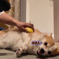 耐える姿が可愛い