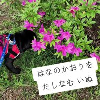 花の香りを楽しむ