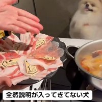 ちょうだいアピール♡