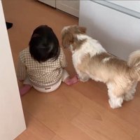 コロくんと赤ちゃんのシンクロ