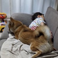 男の子に寄りそう犬