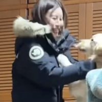 人に飛びつく犬