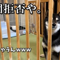 「ここでは嫌」と断固拒否
