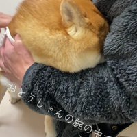 「えっ、もう終わり？」