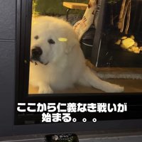 狙いを定めて…