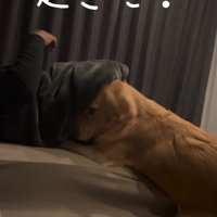 ママの声で目覚めた！！