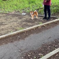 ドッキリに対する福ちゃんの反応4