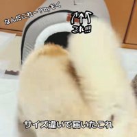 もくちゃんは興味津々