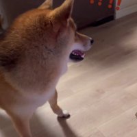 「おばあちゃんち遊び行くの！？」