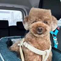 まさかの角刈りに！！