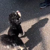 「パパ大好き♡」