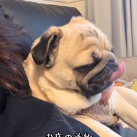 電話するふりのママ