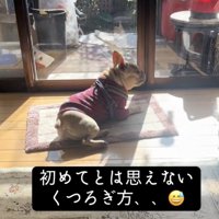 楽しみ尽くしました