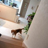 お仕事をしに2階へ