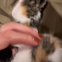 飲まず食わずで閉じ込められていた