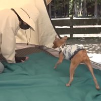 テントの設営をお手伝い