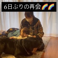 ジャックくん「まってたよー」