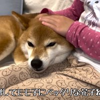 心配してくれています