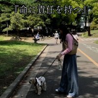 散歩するまるるちゃん