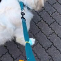 大満足な表情にクスッ