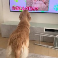 「えっ！その動きなに…？」