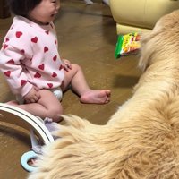 オヤツを奪うベルちゃん3