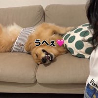 とろける笑顔のにこちゃん