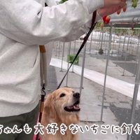 目をキラキラさせるおからちゃん