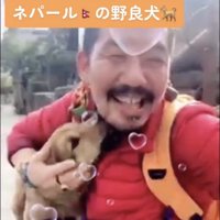 あごをなめる犬