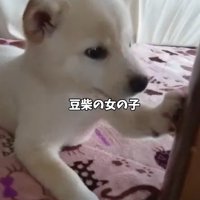 可愛がられ過ぎた結果…
