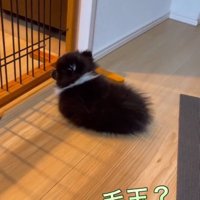 顔を上げるレイくん