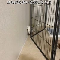 子供は今でも大好きだよ