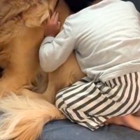 男の子と犬
