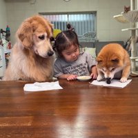 ちゃっかり者なうにくん