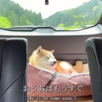 静かに夢の中へ