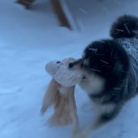 龍之介くんの雪遊び9