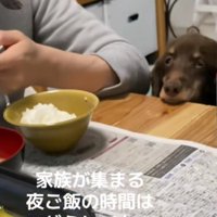みんなの様子をじっと見守る