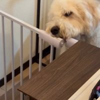 扉を開けたソラくん