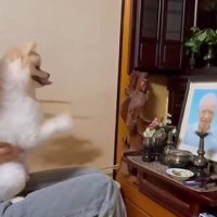 お祈りするポポちゃん