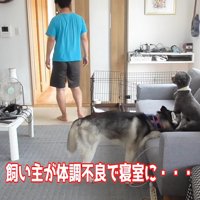 寝室で休むことに
