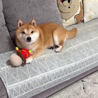 「絶対に貸さないよ！」