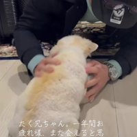 撫でてもらった♡