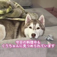 ウルウルの目でアイコンタクト