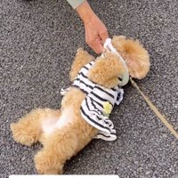 犬の腹と顎を撫でる老人