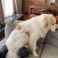 ほとんどはみ出ていても気にしない