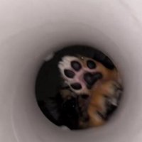 筒の中から覗いたのは…