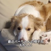 様子がおかしい…